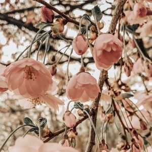 Meet your Posher, Natasha